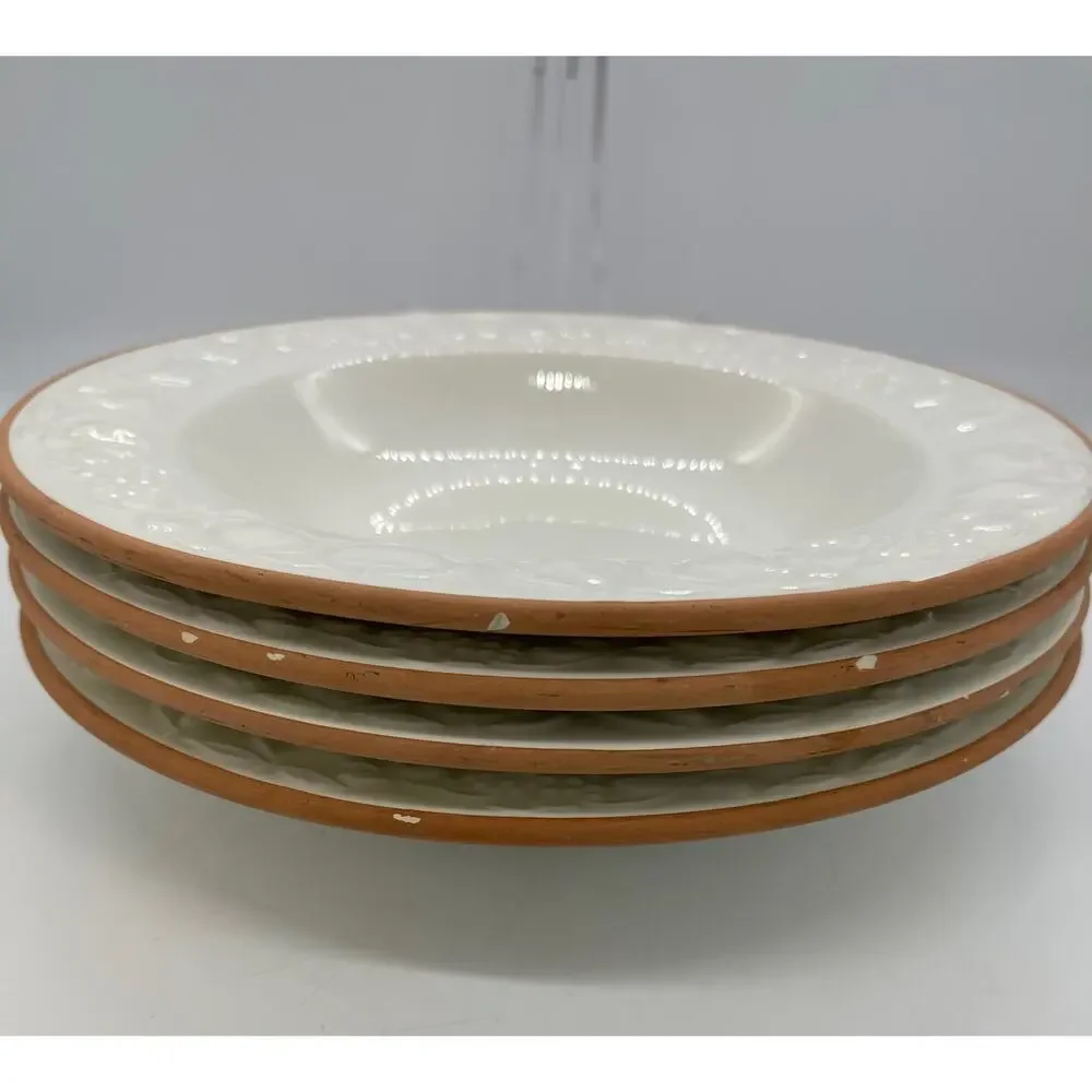 Pier 1 Fruit Relief Set of 4 Soup / Pasta Bowls Italy Wear on Rims *See Photos